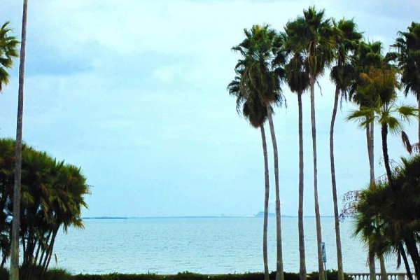 [Image: Tampa Bay: Ocean-Bayfront 2 BR in Soho Hyde Park on Bayshore Blvd]