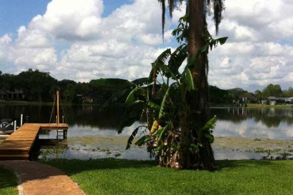 [Image: Adorable, Quiet Lakefront Home Close to Everything in Tampa]