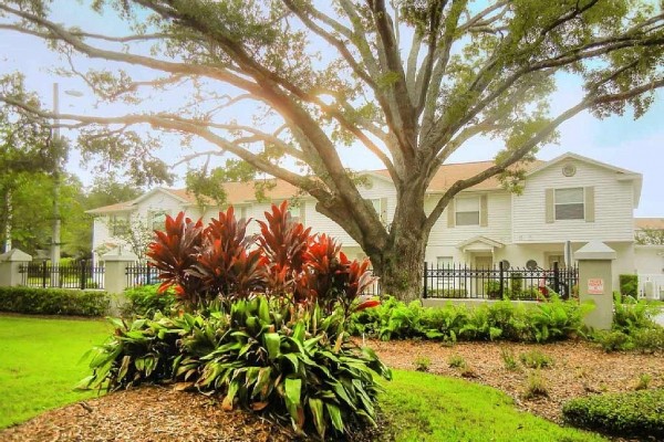 [Image: 3 Bedroom 2.5 Bath New Townhome in Central Tampa]