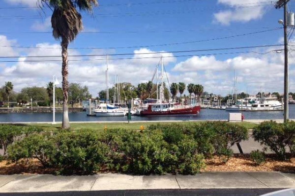 [Image: Gorgeous Water View - Best Location in Tampa!]