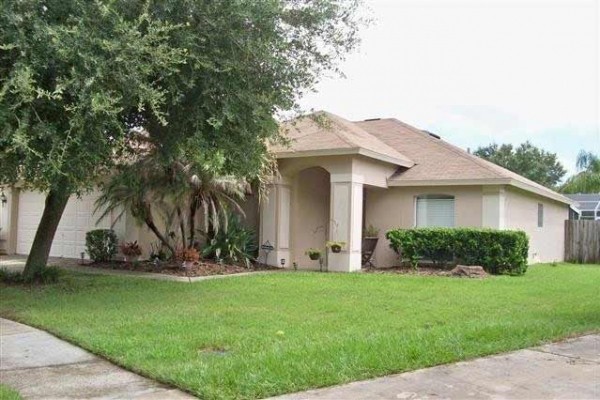 [Image: Beautiful New Tampa Pool Home]