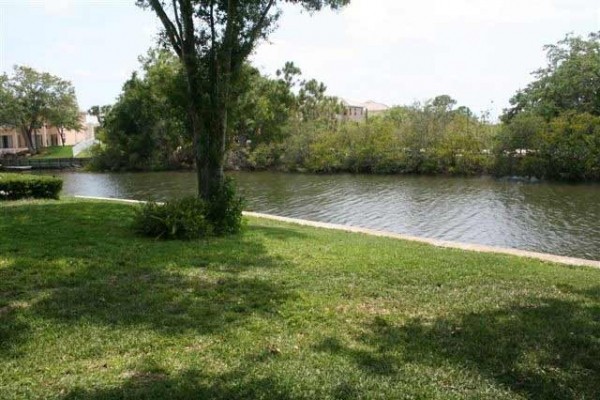 [Image: Water Front Property, Leading to Beautiful Tampa Bay]