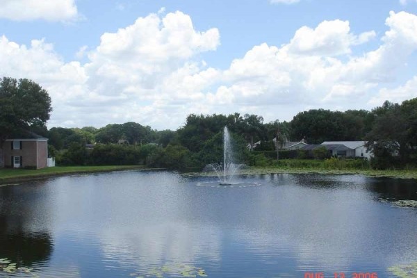 [Image: Tampa, Fl Lakefront Condo Close to Bush Garden]