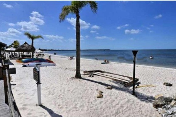 [Image: Private Beach Luxury Waterfront 3bed. 3bath Town House Suite,Tampa Bay]