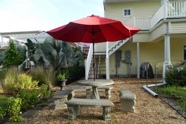 [Image: Key West Cottage on 2.5 Acre Estate (Secluded)- Very Quiet!]