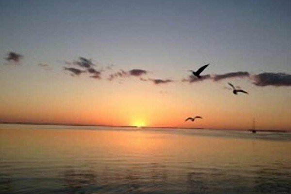 [Image: Key Largo Cottage Paradise &amp; Fisherman's Dream.]