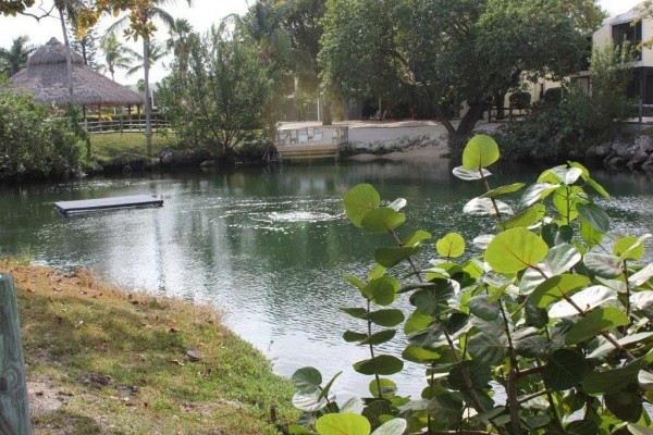 [Image: Oceanfront Property with Lagoon, 2 Heated Pools, and Marina]